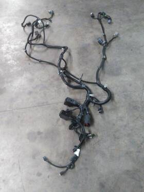 3713754 Cummins 2454297 3687693 Qsx15 Engine Wiring Harness