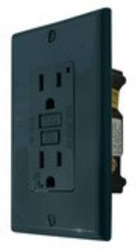 V46vgf15bk Valterra Llc Dg15vp - Receptacle