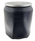 Spring For Goodyear 1R121097, 1R12-1097. Fixed Price $101.55.