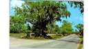 1979 Jekyll Island Ga Postcard: Live Oaks & Moss Scene + Message Road Sign. Fixed Price $6.29.