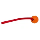 Valterra Float N' Fetch Orange Ball. Fixed Price $11.71.
