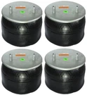 Air Spring Bag Replace W01-358-8755 1R13-124 Hendrickson S-21623 S22045 Set Of. Fixed Price $399.98.