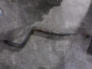 Replaces 501566C93 International 9400 Rear Leaf Spring , Mn. Fixed Price $402.76.