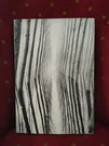 Harold Null Riva Di Po 2 Hardback 1987 Valley Photography Photographer Book. Fixed Price $74.95.