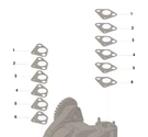 Cummins Shim Kit 12PC 3800751. Fixed Price $101.28.