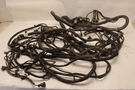 2008-2017 Freightliner Cascadia 125 Y3204 Chassis Wire Wiring Harness Oem. Fixed Price $360.00.