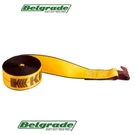 Kinedyne 423021 Genuine Oem 4" By 30' Flat Hook Winch Strap - Gold. Fixed Price $29.50.